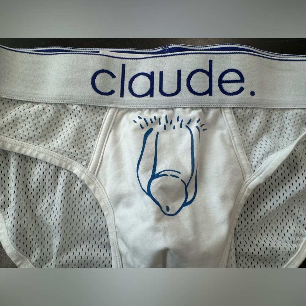 Men’s Mesh brief with penis on crotch